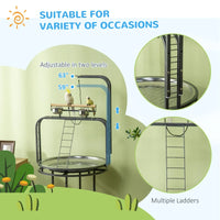 PawHut Parrot Stand Large Bird Perch Stand With Toy Hook 3 Ladders, Parrot Perch, Bird Wooden Stand, Gray