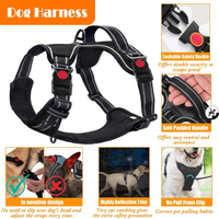 No Pull Dog Harness, Collar & Leash Set, Adjustable Pet Walking Set With Travel Accessories For Dogs