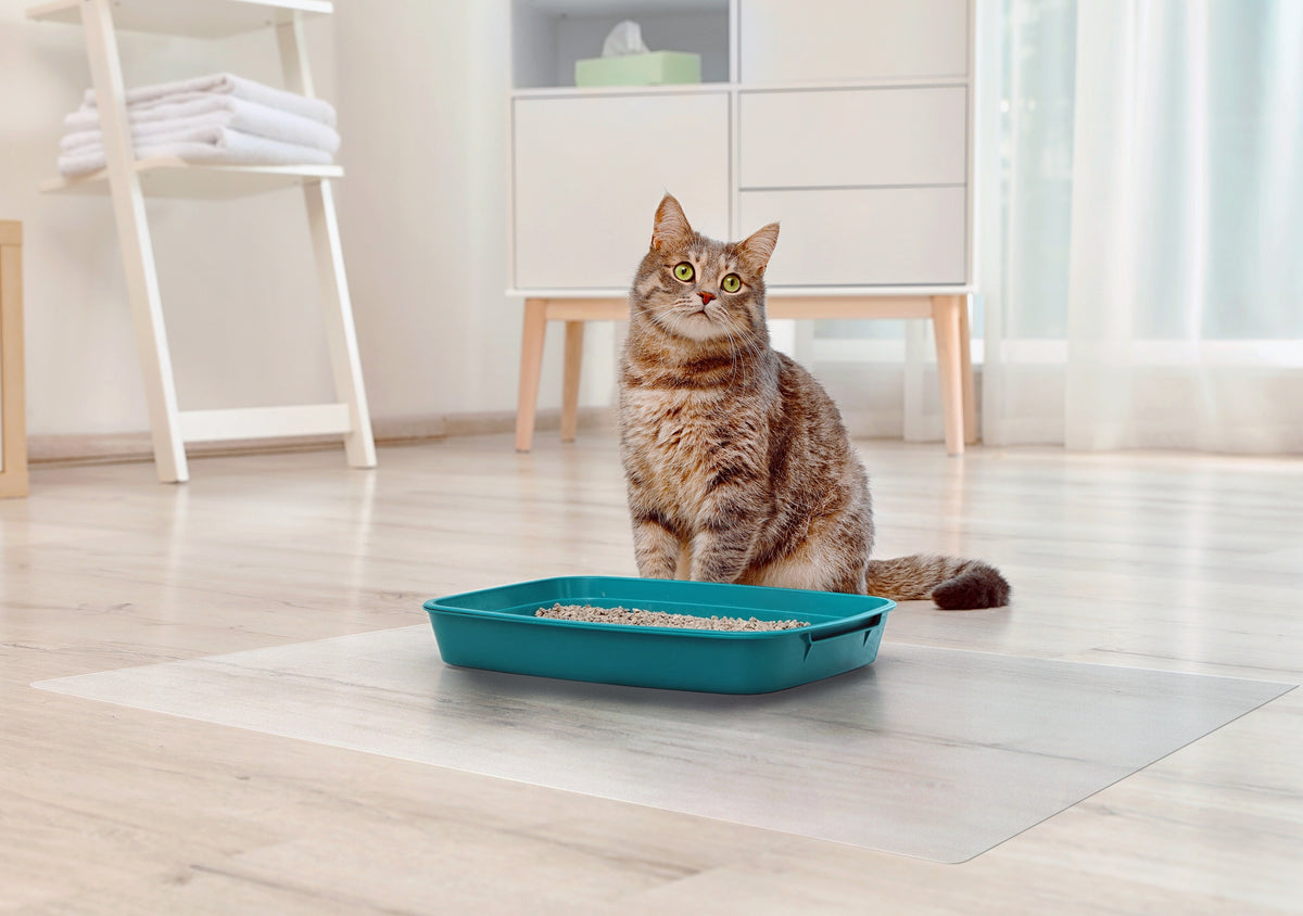 Frosted PVC Floor Mat -1.5mm Anti-Scratch Waterproof Pet Floor Mat For Dog Cat Feeding Area & Kennel Floor