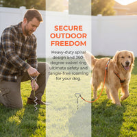 Ground Stake Fixed Dog Leash Allows Your Beloved Dog To Play More Freely