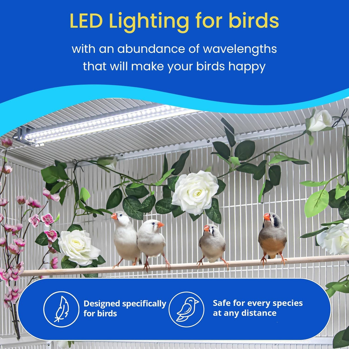 Illuminate Your Bird's World with the Happybird Full Spectrum LED Light - Safe, Easy-to-Install, and Perfect for Soft Bill Birds - BIG FRENCHIES