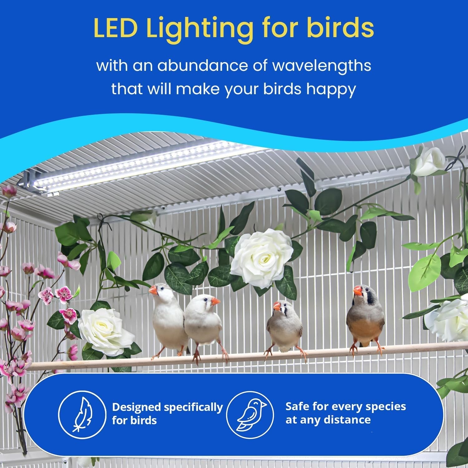 Illuminate Your Bird's World with the Happybird Full Spectrum LED Light - Safe, Easy-to-Install, and Perfect for Soft Bill Birds - BIG FRENCHIES