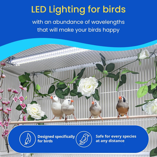 Illuminate Your Bird's World with the Happybird Full Spectrum LED Light - Safe, Easy-to-Install, and Perfect for Soft Bill Birds - BIG FRENCHIES