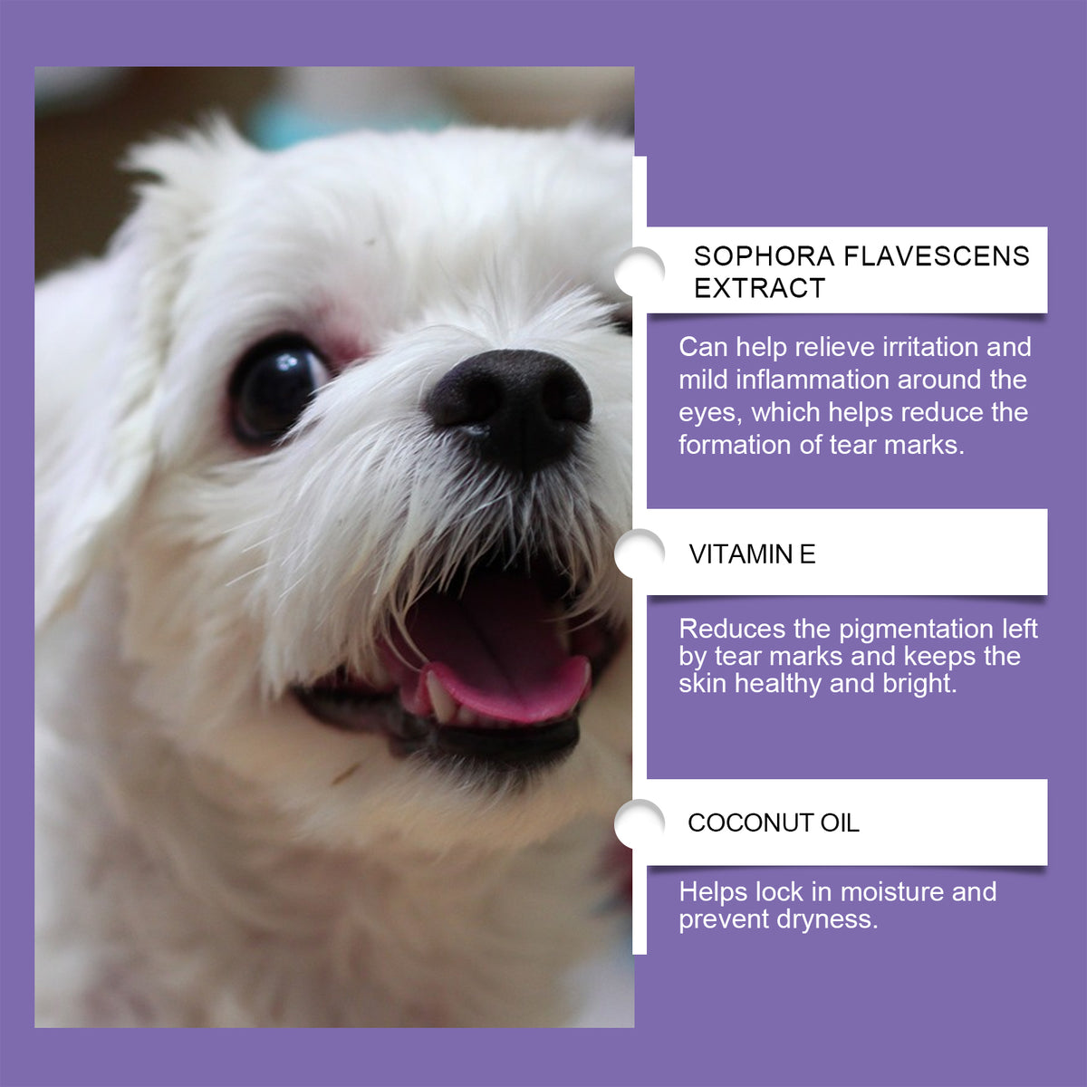 Dog Tear Stain Paste, Gentle Tear Stain Remover For Dogs With Honeysuckle, Sophora Flavescens & Coconut Oil, Soothing Ey