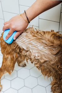 "Spaw" Day (Dog Shampoo & Conditioner Duo)