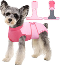 Female Dog Recovery Suit After Spay, XS–2XL