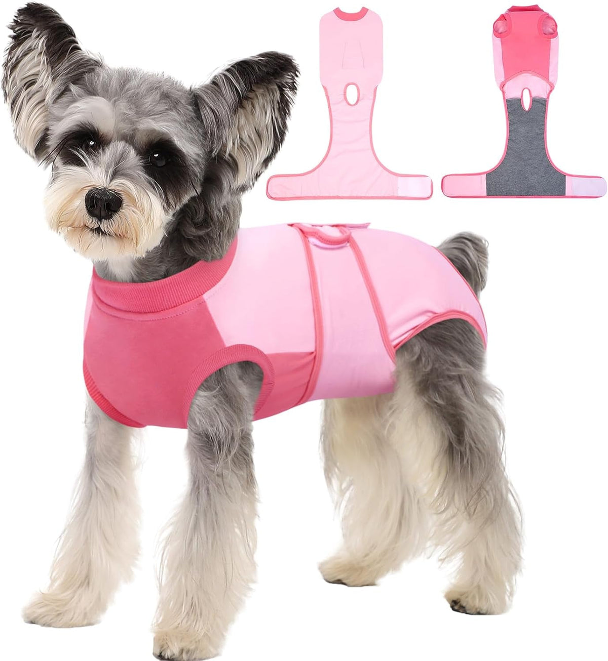 Female Dog Recovery Suit After Spay, XS–2XL