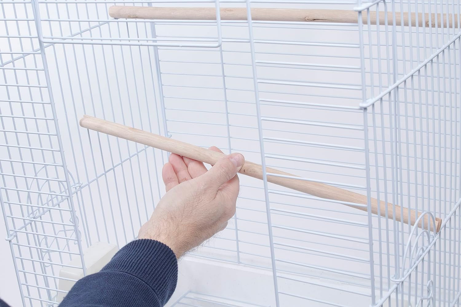 Cockatiel & Small Parrot Starter Kit with Birdcage, Cover, and Accessories – Perfect for Cockatiels, Conures, and Small Parrots – Square Dome – White - BIG FRENCHIES