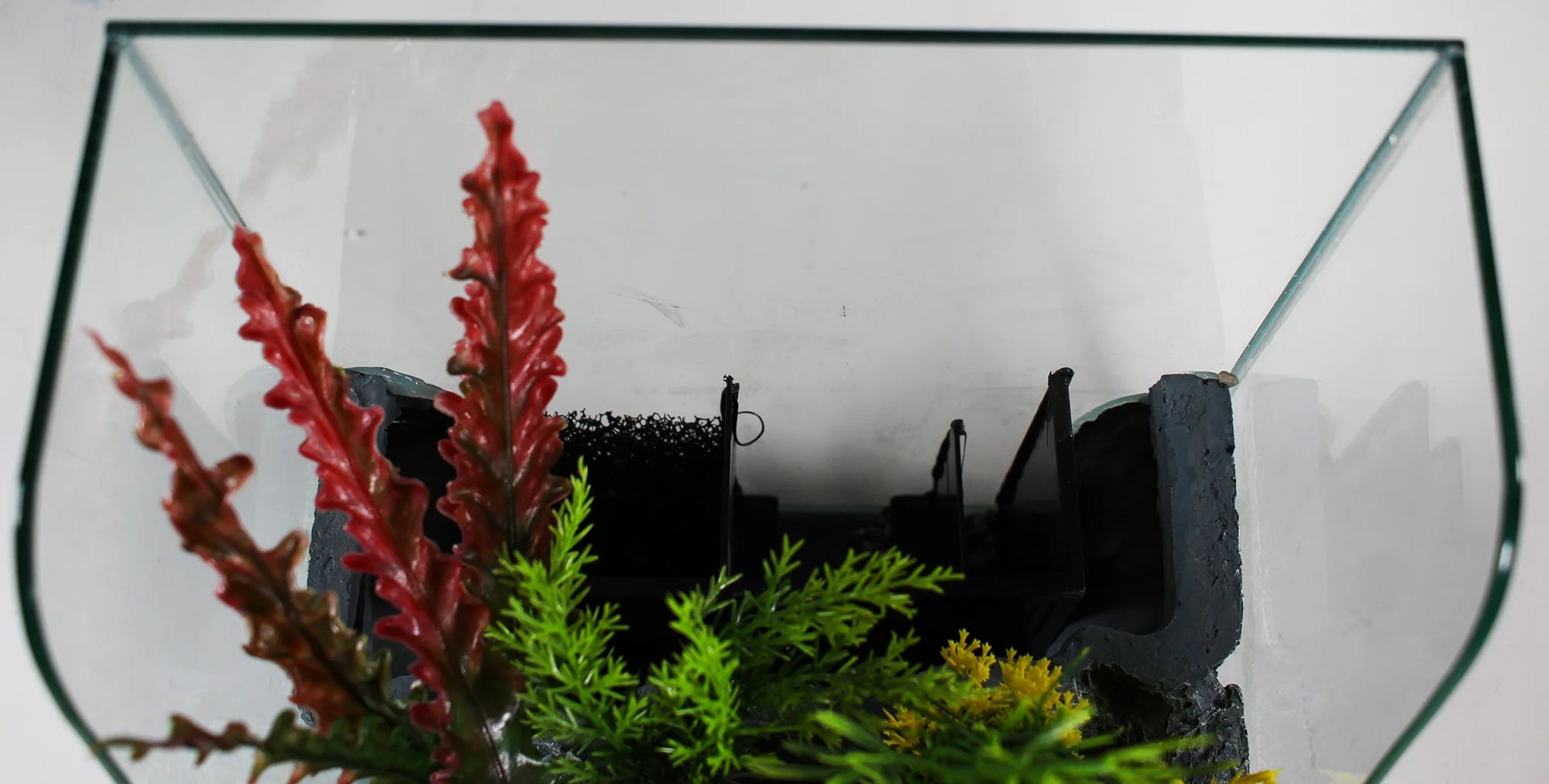 1.85 Gallons Glass Aquarium for Live Plants and Fish - BIG FRENCHIES