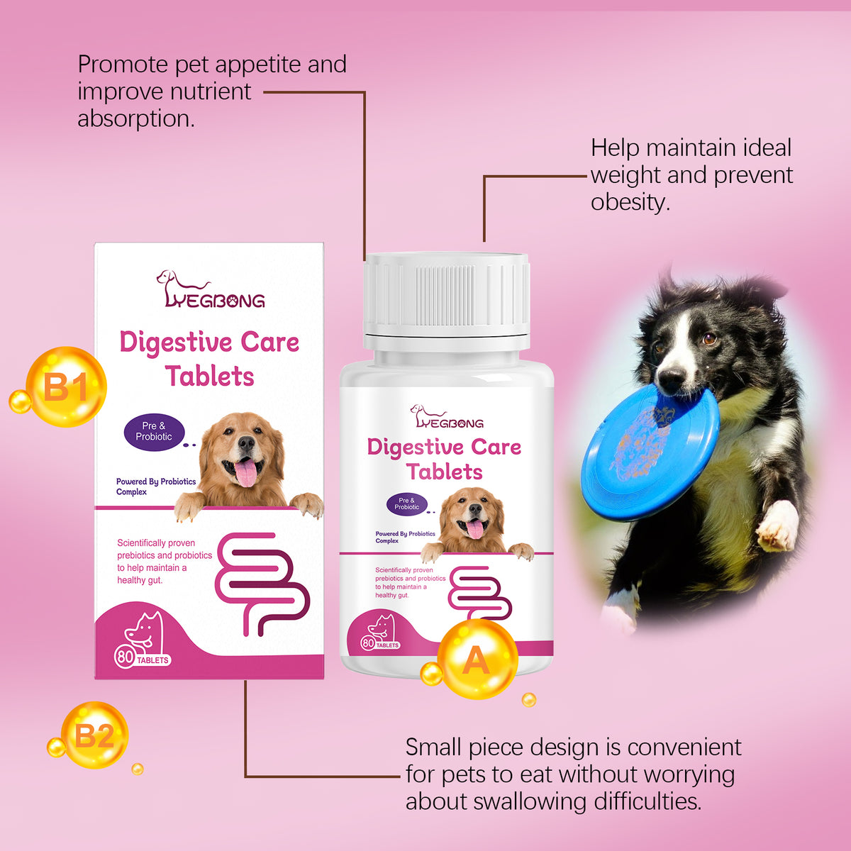 Dog Pre & Probiotic Digestive Care Tablets, Gut Health Supplement For Dogs, Supports Digestion, Immunity, Skin & Vision 