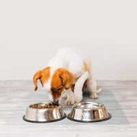 Frosted PVC Floor Mat -1.5mm Anti-Scratch Waterproof Pet Floor Mat For Dog Cat Feeding Area & Kennel Floor