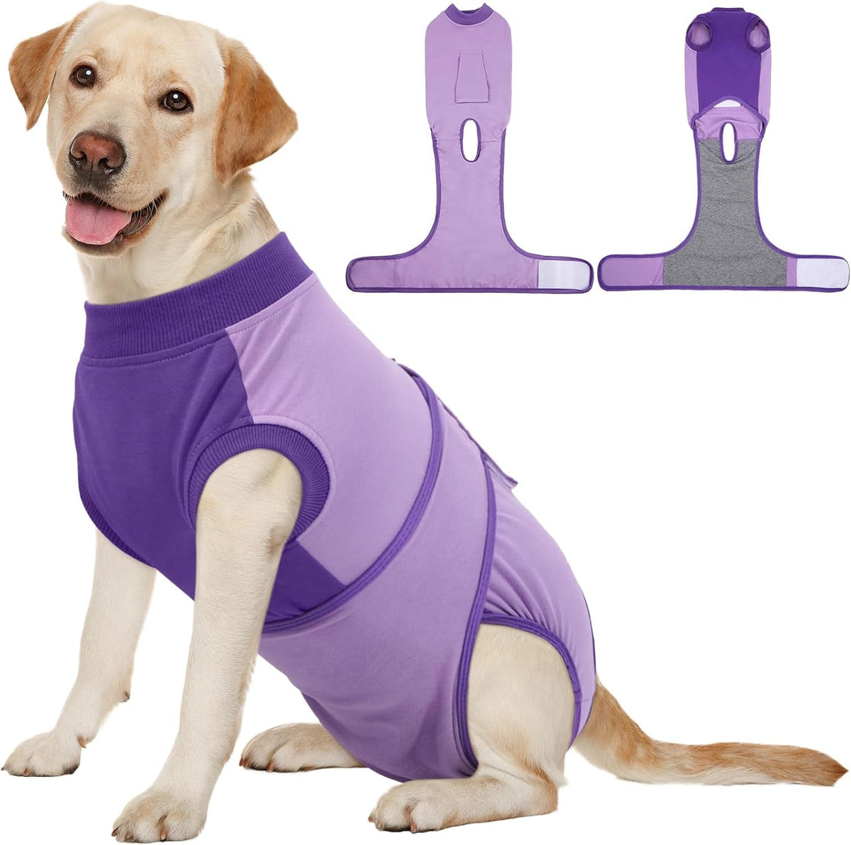 Female Dog Recovery Suit After Spay, XS–2XL