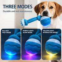 2026 New Interactive Dog Pull Toy, Stimulate Dog Intelligence & Keep Fit, Indoor & Outdoor Use For Medium Large Dogs, Do