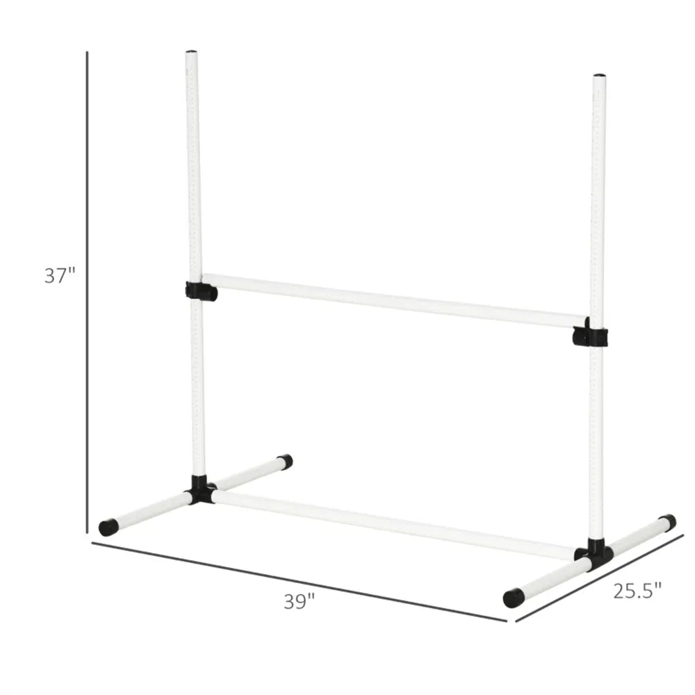 Dog agility training equipment