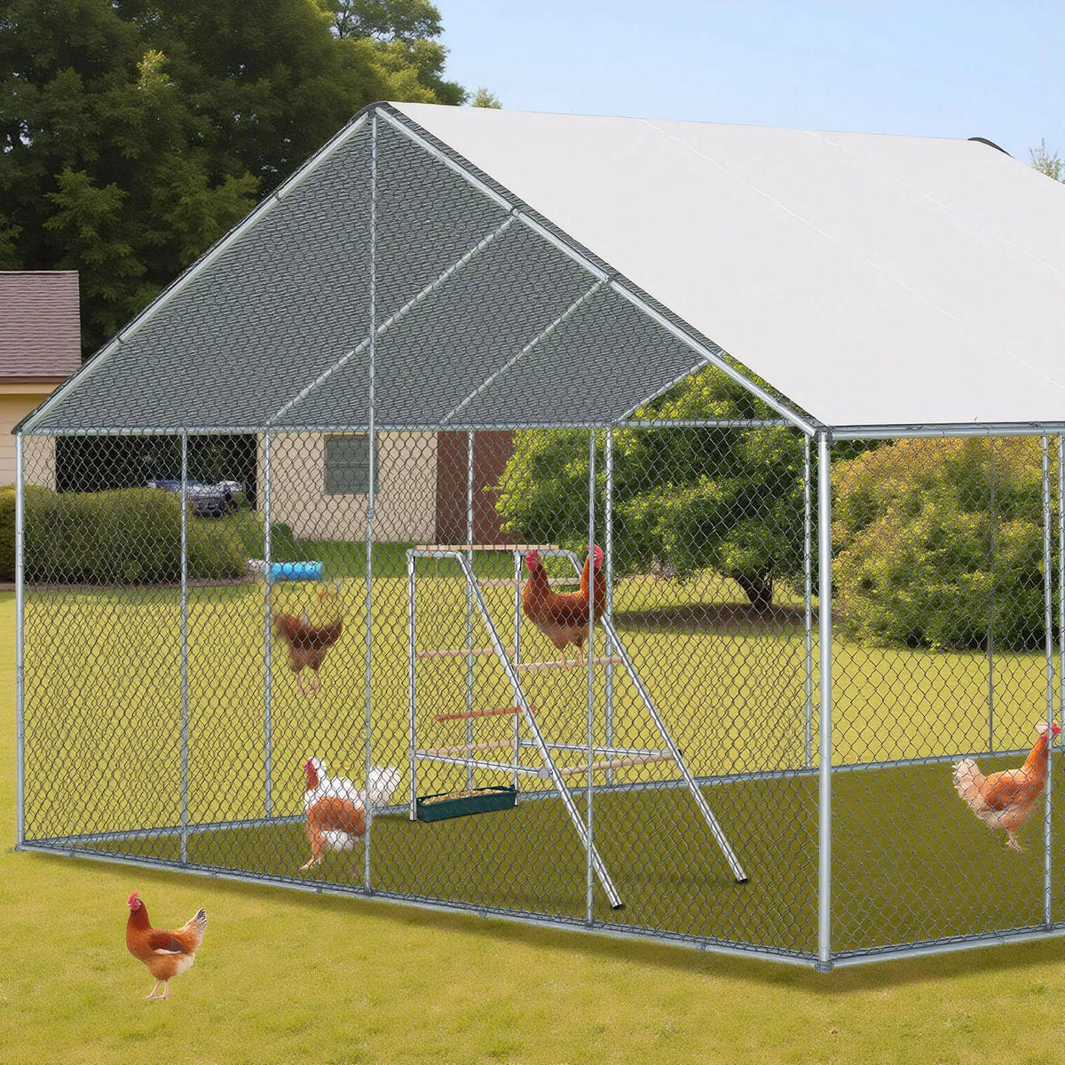 103*50*100cm Outdoor chicken perch