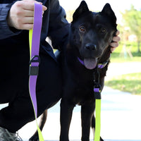 Honeycomb Embossed Dual-Color Pet Leash Set Is Stylish And Fashionable. The Embossed Surface Enhances The Leash's Grip, 