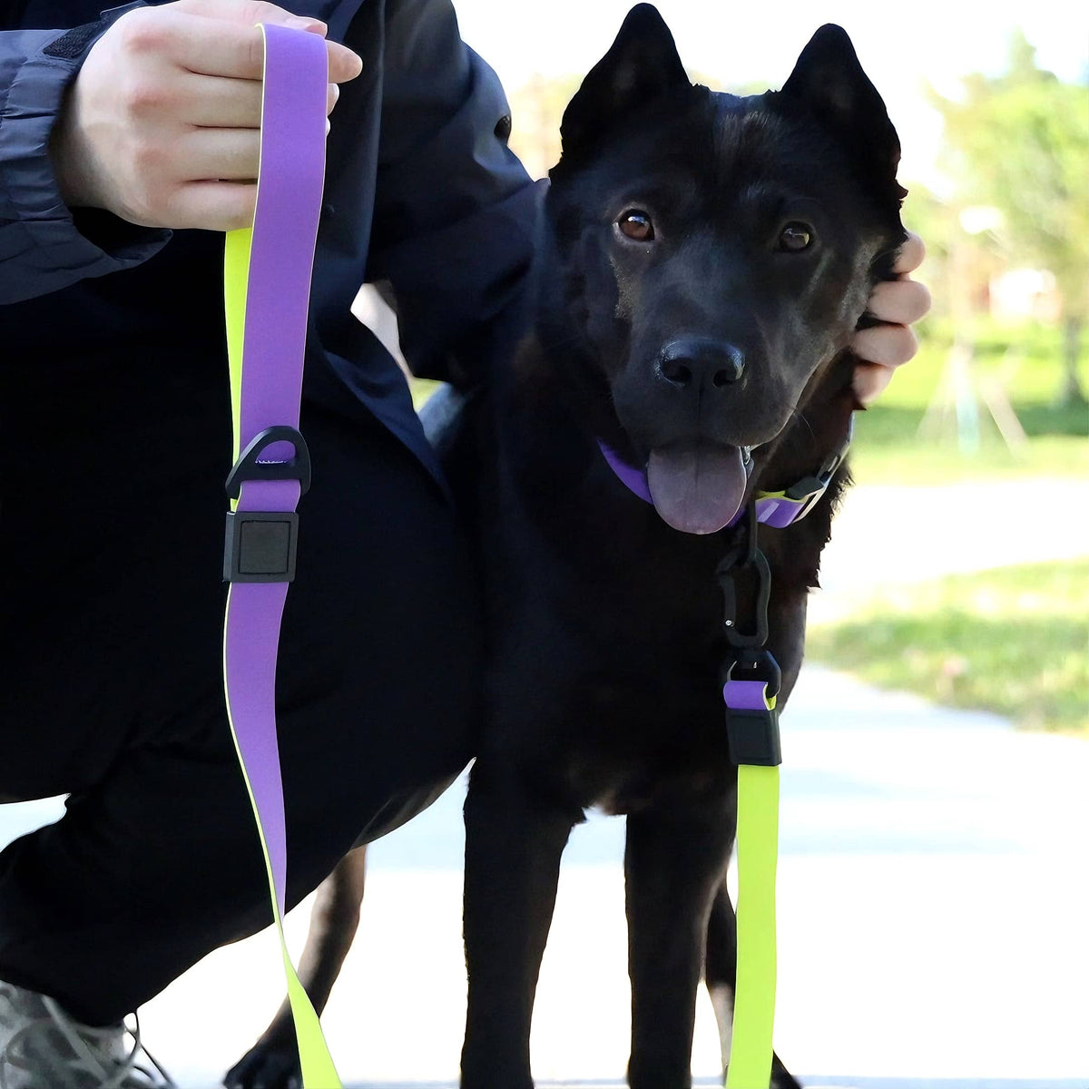 Honeycomb Embossed Dual-Color Pet Leash Set Is Stylish And Fashionable. The Embossed Surface Enhances The Leash's Grip, 