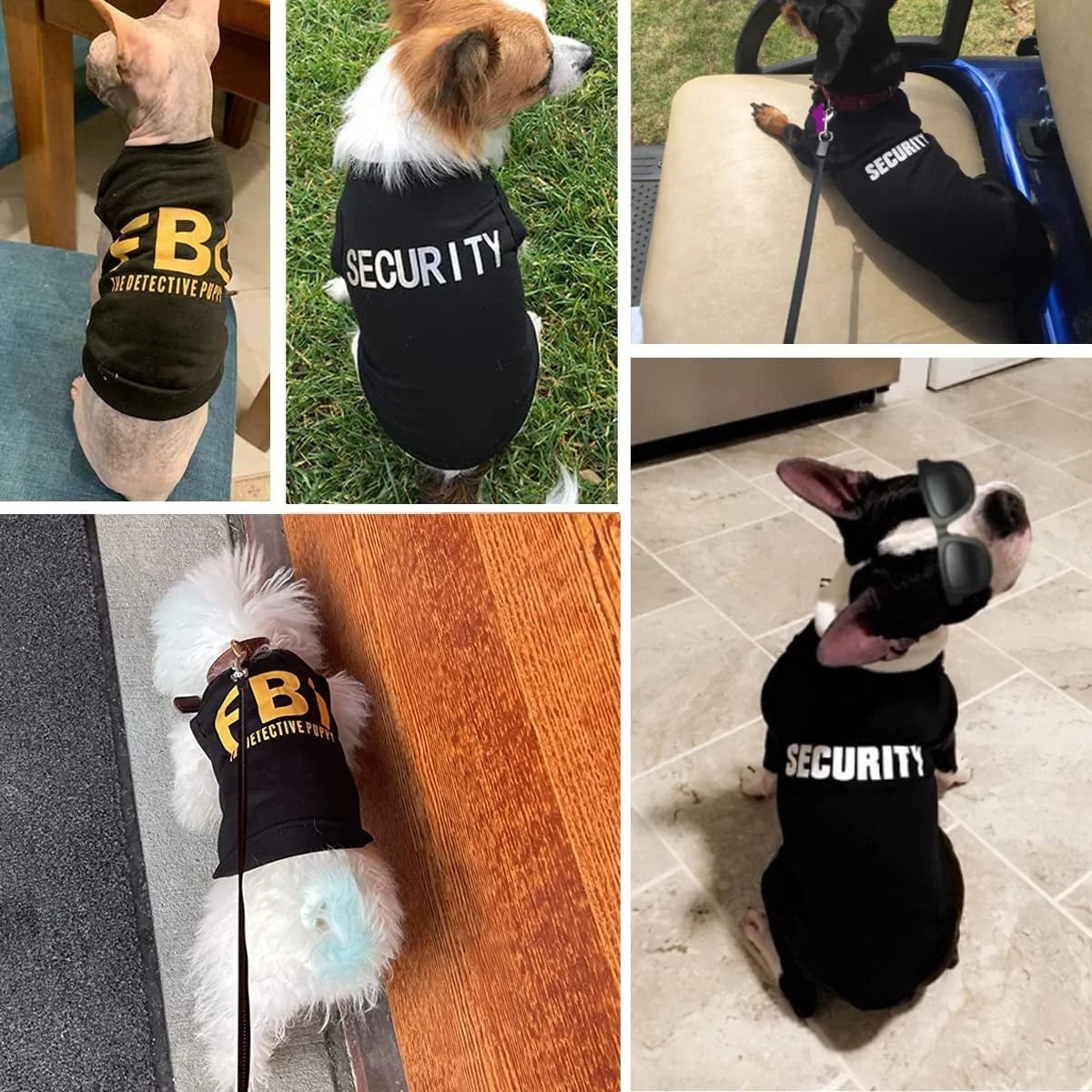 4 Packs Dog Shirts for Small Dog - BIG FRENCHIES