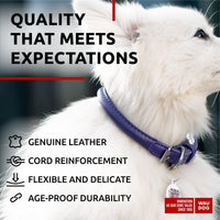 Purple Rolled Leather Dog Collar Padded All Sizes 10–13 in Neck