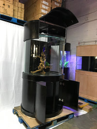 90 Gallon 3/4 Cylinder Glass Reef-Ready Aquarium Set in Unstained Wood Furniture