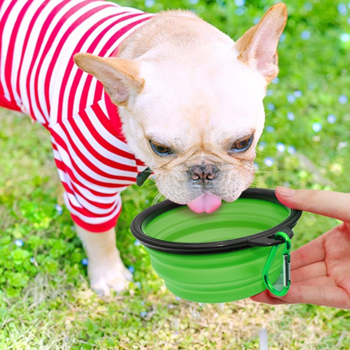 Dog Bowl Pet Collapsible Bowls, 2 Pack For Cats Dogs, Portable Pet Feeding Watering Dish For Walking Parking Traveling W