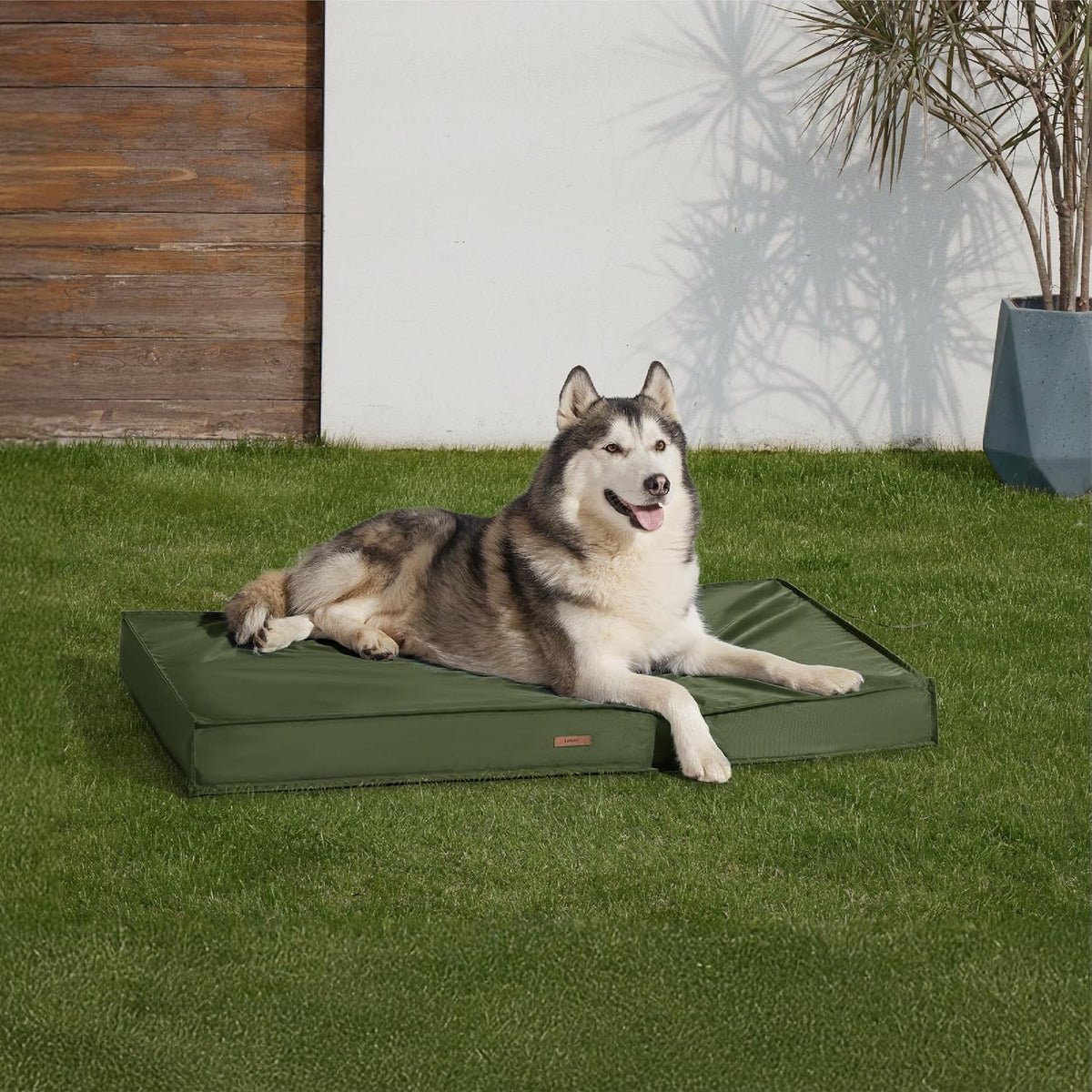 LE SURE Outdoor Waterproof Dog Beds Large Sized - 48"L x 30"W x 4"Th / Olive Green - image 4