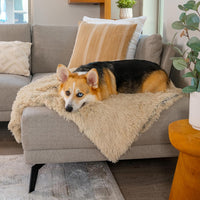 Best Friends by Sheri Dog Blanket, Shag Faux Fur - Taupe / 30" x 40" - image 2
