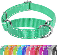 Martingale Dog Collar, Adjustable No Buckle Slip Collar, XS - A2-Turquoise / Medium(Length:15-21'', Width:1'')
