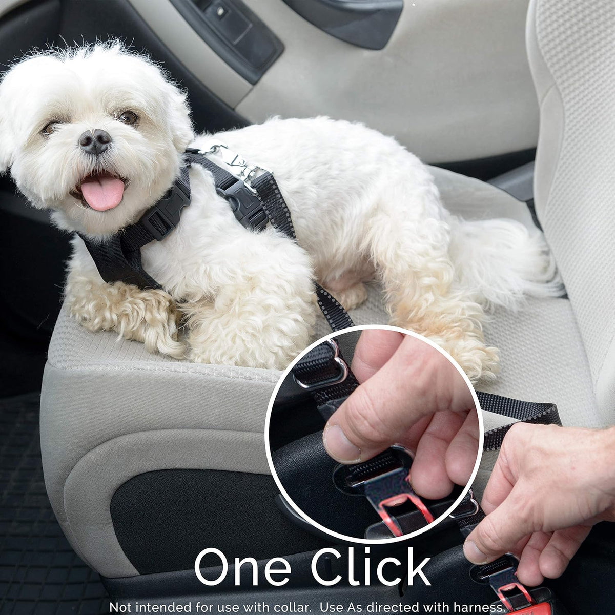 Dog Seat Belt Pet Dog Cat Car Seatbelt Safety Tether - image 2