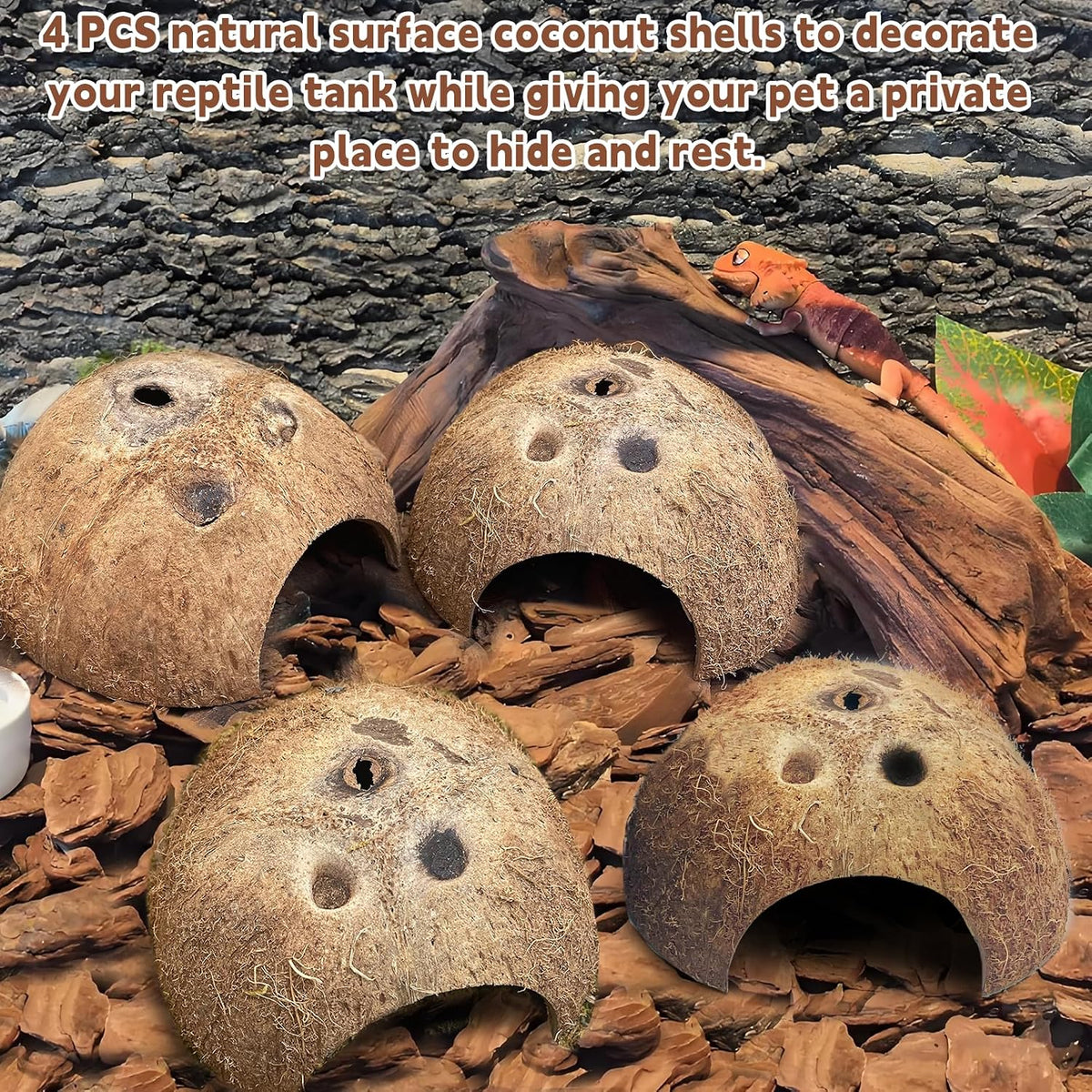 PINVNBY 2 PCS Natural Coconut Reptile Hideouts Lizard Coco Hut Hermit - Natural Surface / 4 PCS - image 3
