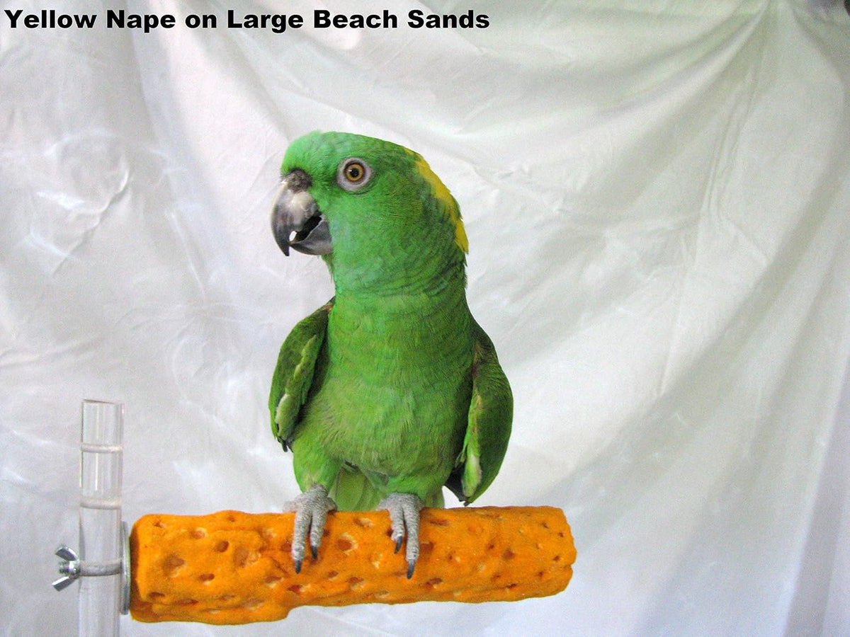 Polly's Beach Sands Nail Trimming Bird Cage Perch for Parakeets - image 2