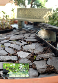 Natural Slate Stone 1/2 to 1 inch. Perfect Size for Miniature - 1lb grey - image 2