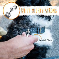 Mighty Paw Double Dog Leash - Double Leash w/ Handle / Lite | Dogs 0-30lbs - image 3
