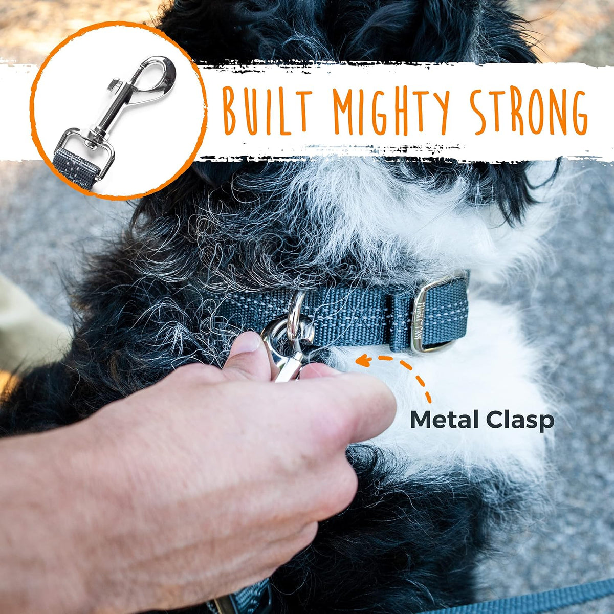 Mighty Paw Double Dog Leash - Double Leash w/ Handle / Lite | Dogs 0-30lbs - image 3