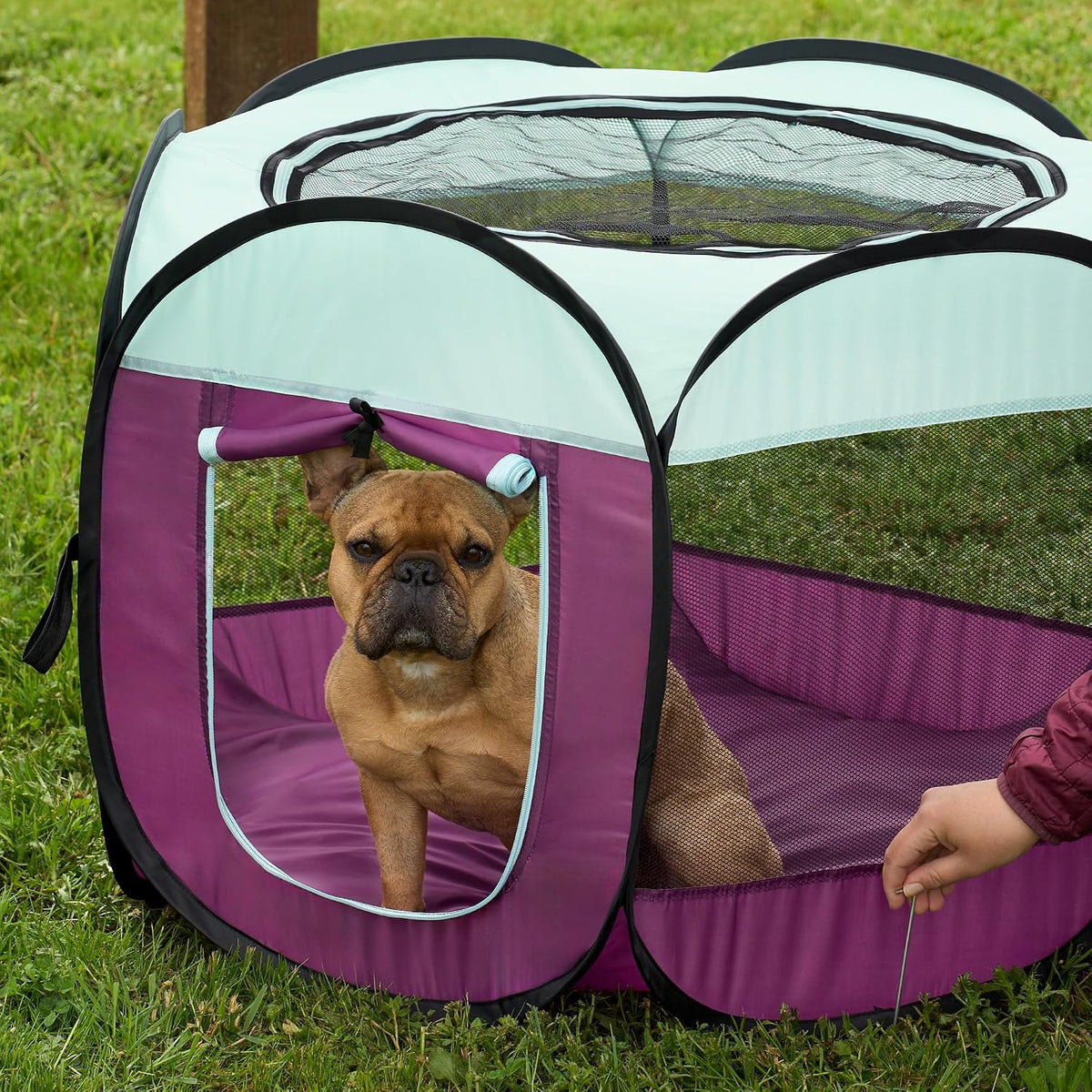 FurHaven Soft-Sided Dog & Cat Playpen - Purple / Small - image 2