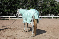 Horse Fly Sheet with Detachable Neck Cover & Belly Wrap, Adjustable Fly Sheet for Horses, Ventilated Airflow Mesh Equine Cooling Summer Flysheet Green 72