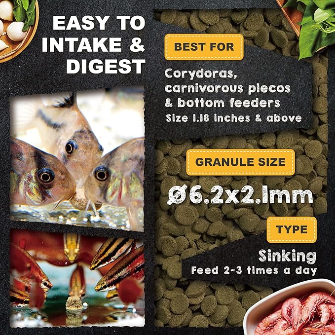 Ultra Fresh Bottom Feeder Fish Food, Sword Prawns, Natural Protein, Balanced Diet, for Catfish, Corydoras, Loaches, Tropical Shrimp Pie 4.94 Ounces
