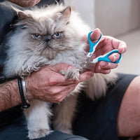 Mr. Pen- Cat Nail Clipper, Pet Nail Trimmers, Kitten Claw Clippers, Easy to Use, Precision and Sharp Cut