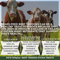 Beef Tendon Dog Treats, Single Ingredient, 100% Natural, Grass-Fed, Long-Lasting Rawhide-Free Chews, Collagen Protein, Dental & Joint Support, 4 oz, Safe & Grain-Free Snack