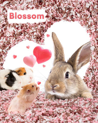 BUCATSTATE Hamster Bedding 15L, 99% Dust-Free Paper Bedding - Blossom / 70L - image 3