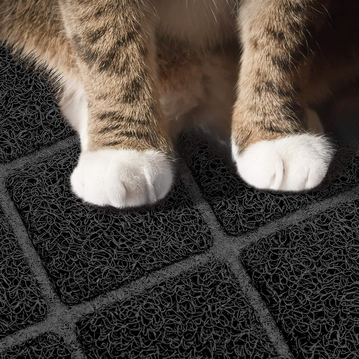 Niubya Premium Cat Litter Mat - image 4