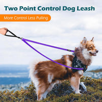 Two Point Control Dog Leash, No Tangle Training Walking Leashes – Essentials for Dogs - Purple - image 2