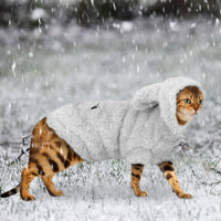Dog clothes