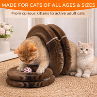 Kitty Curls Cat Toy - Foldable Accordion Cat Scratcher withBall - Magic Organ Cat Scratch Board for Interactive Play -Ca