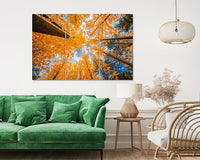 Nature Wall Art Prints - Ocean Forest Mountain Lake Canvas Landscapes - Small to Extra Large Living Room Bedroom Kitchen Bathroom Décor (Blue Sky Through Yellow Autumn Trees, 47L" x 71W" - 3 panels)