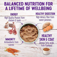 Wellness Wet Canned Dog Food, Pate Variety Pack, 12.5 Ounce Can (Pack of 6)