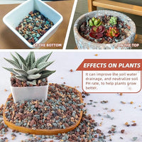 5lb Mix Horticultural Lava Rock Pebbles Pumice Potting Soil Amendment Succulent Cactus Bonsai Gritty Rock Decorative Gravel Plant Drainage Volcanic Rock for Aquarium Fairy Gardening Top Dressing