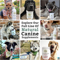 Wholistic Pet Organics Canine Complete - Dog Multivitamin Powder - 8 Oz - Daily Dog Vitamins and Supplements for Homemade Food - Immune System, Skin, Coat & Overall Health - Small and Large Breed