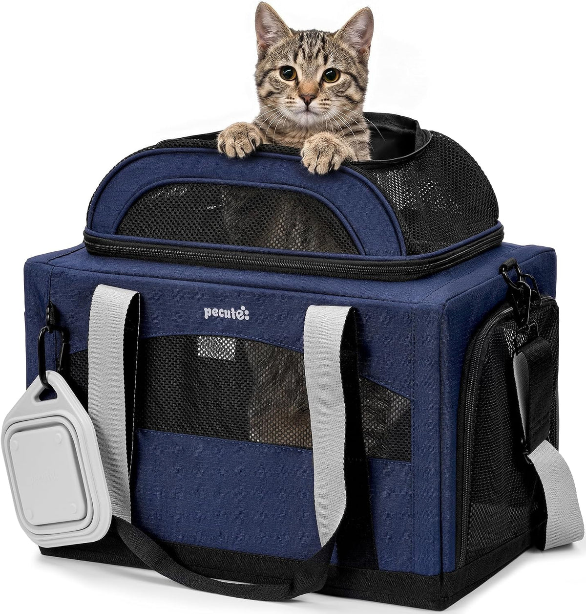 Pecute Cat Carrier, Top Expandable Dog Crate for Travel - Blue