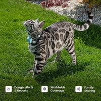 Tractive Smart Cat GPS Tracker | Real-Time Location & Wellness Monitoring for Cats 6.5 lbs+ | Territory & Location History | Up to 5-Day Battery | Breakaway Collar Included (Brown)